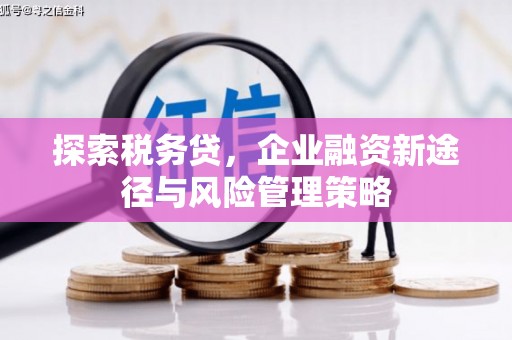 蒸湘探索税务贷，企业融资新途径与风险管理策略