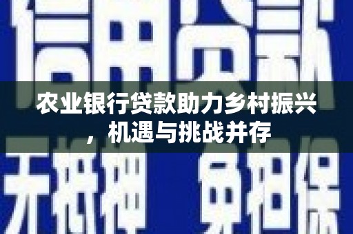 惠民农业银行贷款助力乡村振兴，机遇与挑战并存