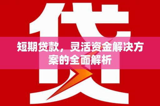 惠济短期贷款，灵活资金解决方案的全面解析