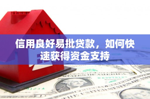 港南信用良好易批贷款，如何快速获得资金支持