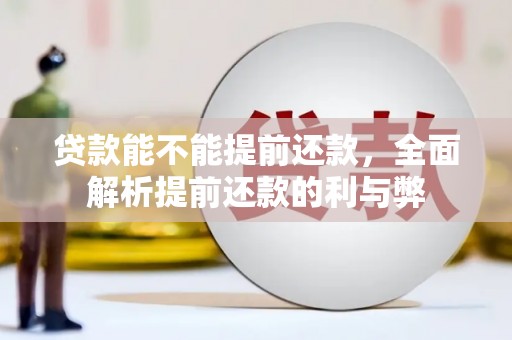 滨海贷款能不能提前还款，全面解析提前还款的利与弊