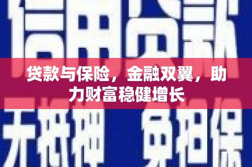 新建贷款与保险，金融双翼，助力财富稳健增长