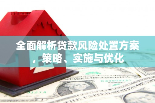 普兰店全面解析贷款风险处置方案，策略、实施与优化