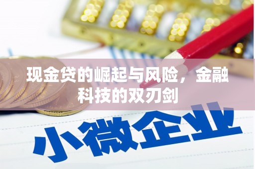 沈河现金贷的崛起与风险，金融科技的双刃剑
