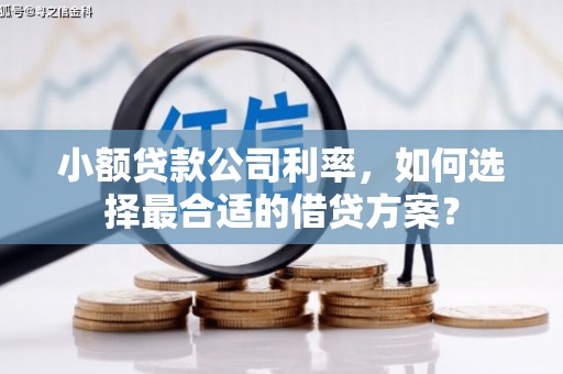 布袋小额贷款公司利率，如何选择最合适的借贷方案？