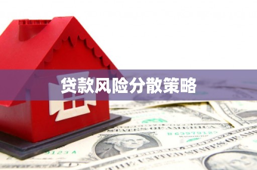 海港贷款风险分散策略