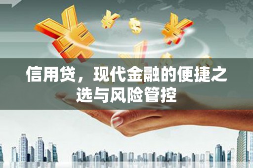 康马信用贷，现代金融的便捷之选与风险管控