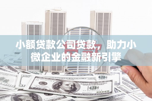 合江小额贷款公司贷款，助力小微企业的金融新引擎