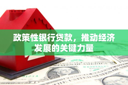 淡水政策性银行贷款，推动经济发展的关键力量