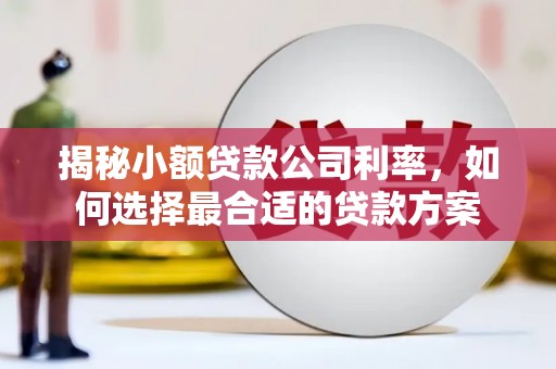 鹤山揭秘小额贷款公司利率，如何选择最合适的贷款方案