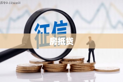 龙胜房抵贷
