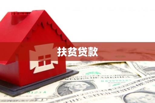 舟山新区扶贫贷款