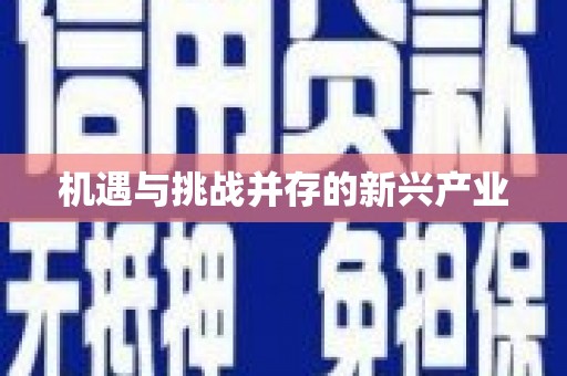 防城港机遇与挑战并存的新兴产业