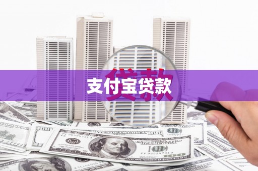 颍上支付宝贷款
