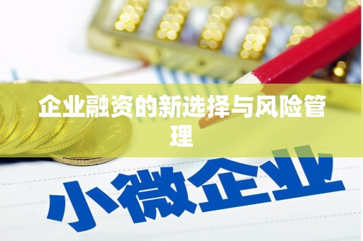略阳企业融资的新选择与风险管理