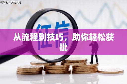 白山从流程到技巧，助你轻松获批