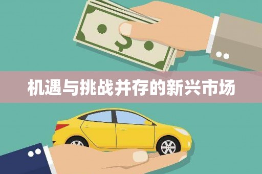 古坑机遇与挑战并存的新兴市场