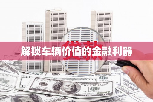 乐东解锁车辆价值的金融利器