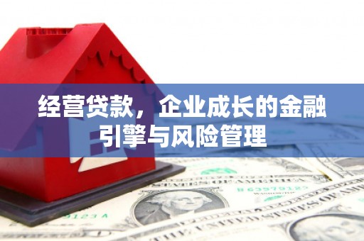 右江经营贷款，企业成长的金融引擎与风险管理