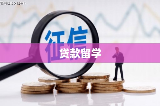 宿松贷款留学
